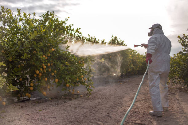 Wildlife Control Services in Brookdale, SC