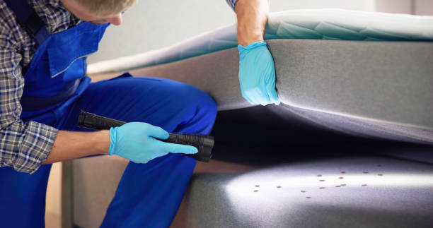 Best Commercial Pest Control Services  in Brookdale, SC