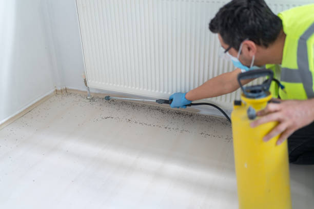 Best Residential Pest Control  in Brookdale, SC